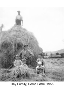 Farming and Countryside